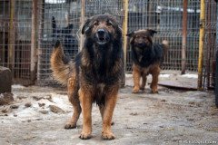 phoca_thumb_l_IMG_6172_resize