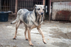 phoca_thumb_l_IMG_6196_resize