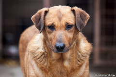 phoca_thumb_l_IMG_6212_resize