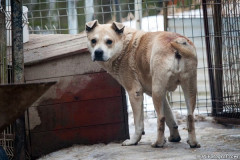 phoca_thumb_l_IMG_6237_resize