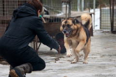phoca_thumb_l_IMG_6249_resize