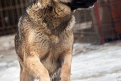 phoca_thumb_l_IMG_6288_resize