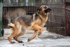phoca_thumb_l_IMG_6307_resize