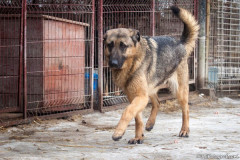 phoca_thumb_l_IMG_6322_resize