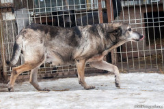 phoca_thumb_l_IMG_6344_resize