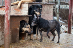 phoca_thumb_l_IMG_6355_resize