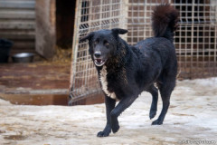 phoca_thumb_l_IMG_6365_resize