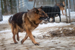 phoca_thumb_l_IMG_6376_resize