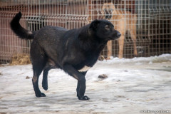 phoca_thumb_l_IMG_6405_resize