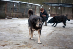 phoca_thumb_l_IMG_6410_resize