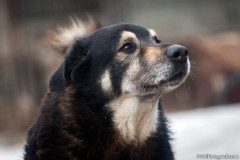 phoca_thumb_l_IMG_6416_resize