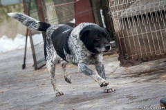 phoca_thumb_l_IMG_6421_resize