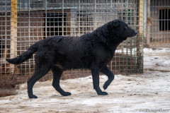 phoca_thumb_l_IMG_6437_resize