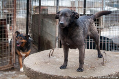 phoca_thumb_l_IMG_6461_resize