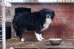 phoca_thumb_l_IMG_6466_resize