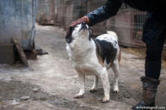 phoca_thumb_l_IMG_6473_resize