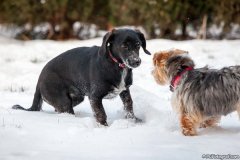 phoca_thumb_l_IMG_2702_resize