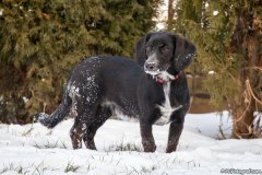 phoca_thumb_l_IMG_2706_resize