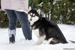 phoca_thumb_l_IMG_3036_resize