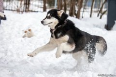 phoca_thumb_l_IMG_3066_resize