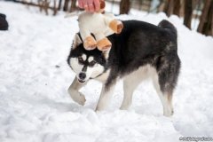 phoca_thumb_l_IMG_3072_resize