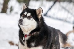 phoca_thumb_l_IMG_3078_resize