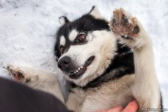 phoca_thumb_l_IMG_3084_resize
