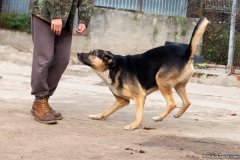 phoca_thumb_l_IMG_7724_resize