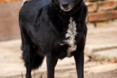phoca_thumb_l_IMG_7764_resize
