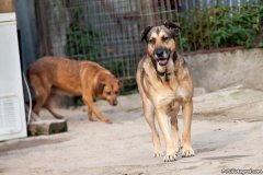 phoca_thumb_l_IMG_7829_resize