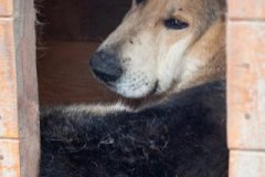 phoca_thumb_l_IMG_7884_resize