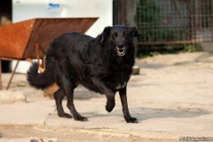 phoca_thumb_l_IMG_7899_resize