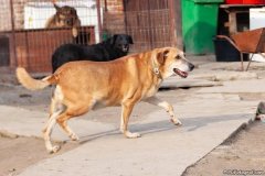 phoca_thumb_l_IMG_7908_resize