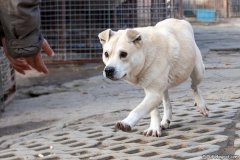 phoca_thumb_l_IMG_7964_resize
