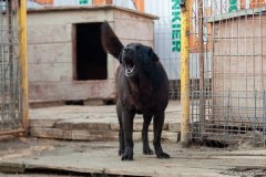 phoca_thumb_l_IMG_8036_resize