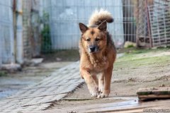phoca_thumb_l_IMG_8113_resize