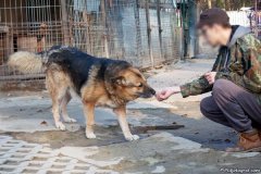 phoca_thumb_l_IMG_8127a_resize