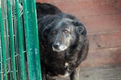 phoca_thumb_l_IMG_8134_resize