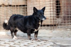 phoca_thumb_l_IMG_8146_resize