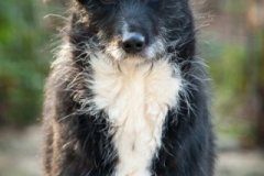 phoca_thumb_l_IMG_8182_resize