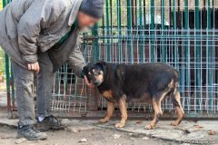 phoca_thumb_l_IMG_8187a_resize