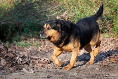 phoca_thumb_l_IMG_8224_resize