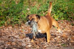 phoca_thumb_l_IMG_8240_resize