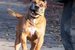 phoca_thumb_l_IMG_8246_resize