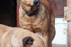 phoca_thumb_l_IMG_8306_resize