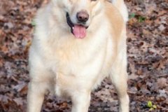 phoca_thumb_l_IMG_8345_resize