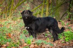 phoca_thumb_l_IMG_8362_resize
