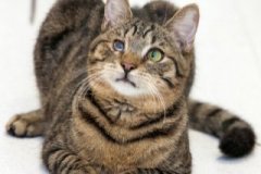 phoca_thumb_l_IMG_2248_resize