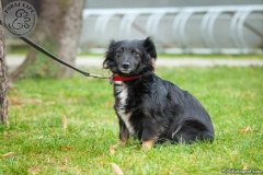 phoca_thumb_l_IMG_2361_resize