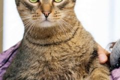 phoca_thumb_l_IMG_2363_resize